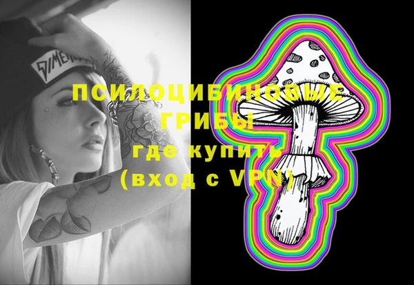 Альфа ПВП Алзамай