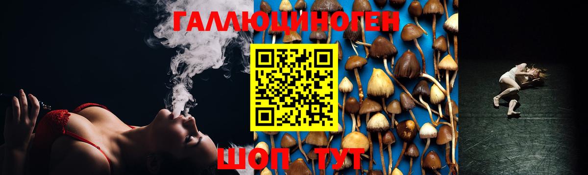 Аргун  Галлюциногенные грибы прущие грибы  Вход с VPN 