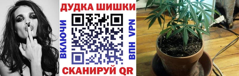 МАРИХУАНА SATIVA & INDICA хочу наркоту Аргун